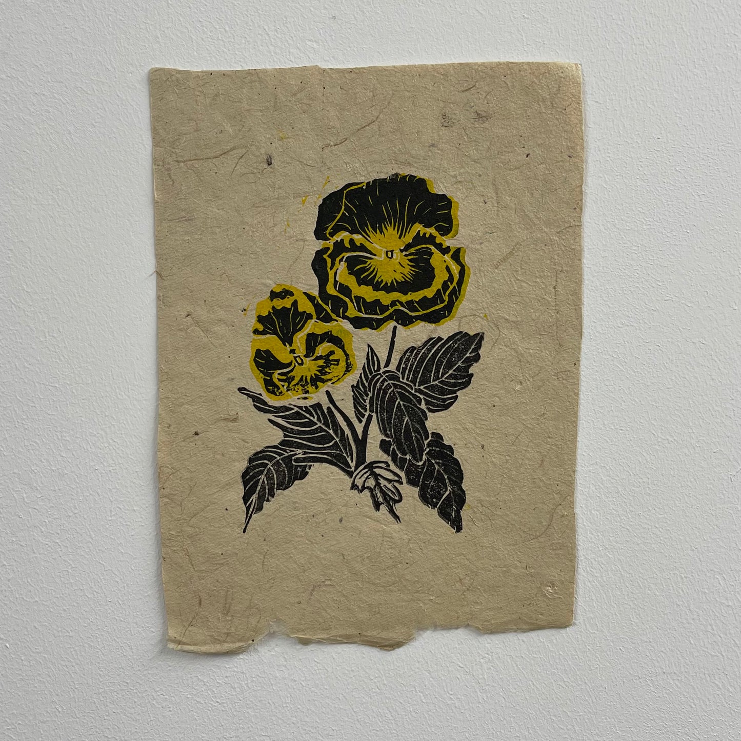 A5 / Pansies I