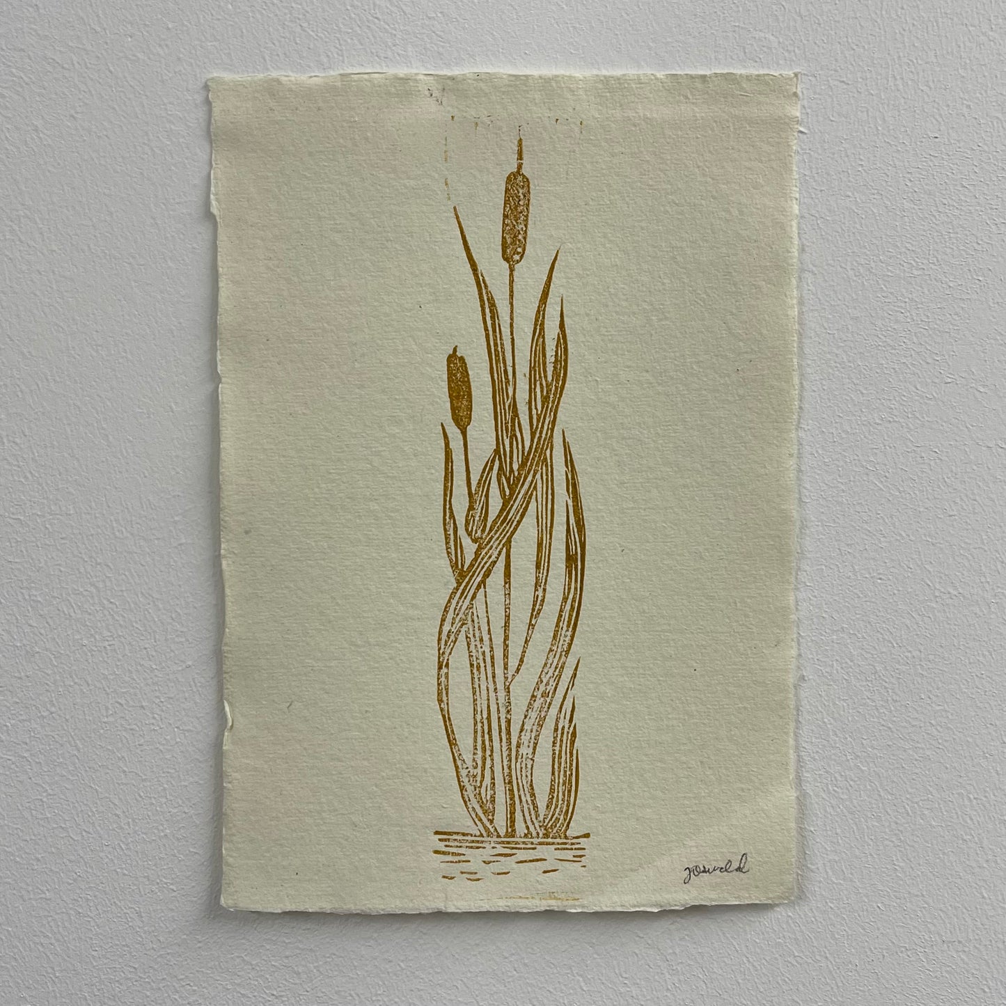 A5 / Cattails